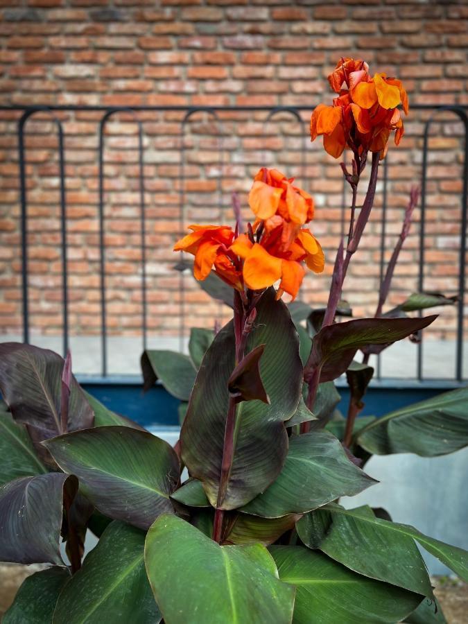 Black Tomato Hostel คูทายสิ ภายนอก รูปภาพ